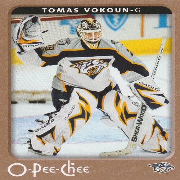 Tomas Vokoun Hockey Card Collection - Picture 4 of 4